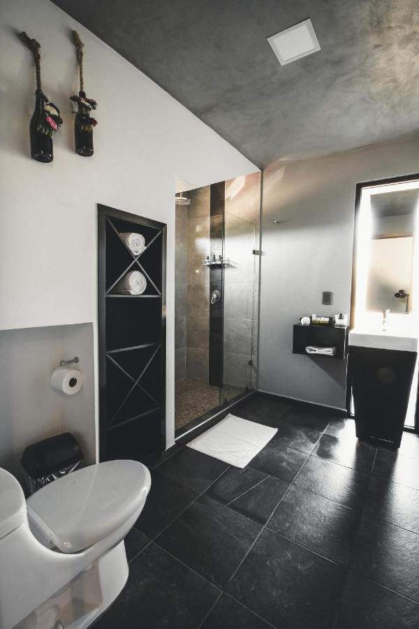 Origen75 Loft - Villas - Skypool - Vinedo, Valle De Guadalupe Extérieur photo
