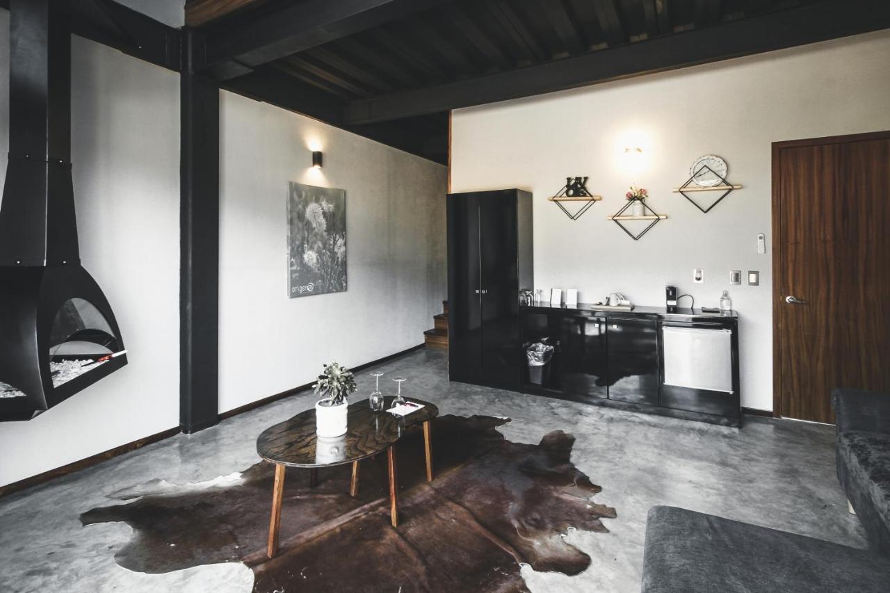 Origen75 Loft - Villas - Skypool - Vinedo, Valle De Guadalupe Extérieur photo