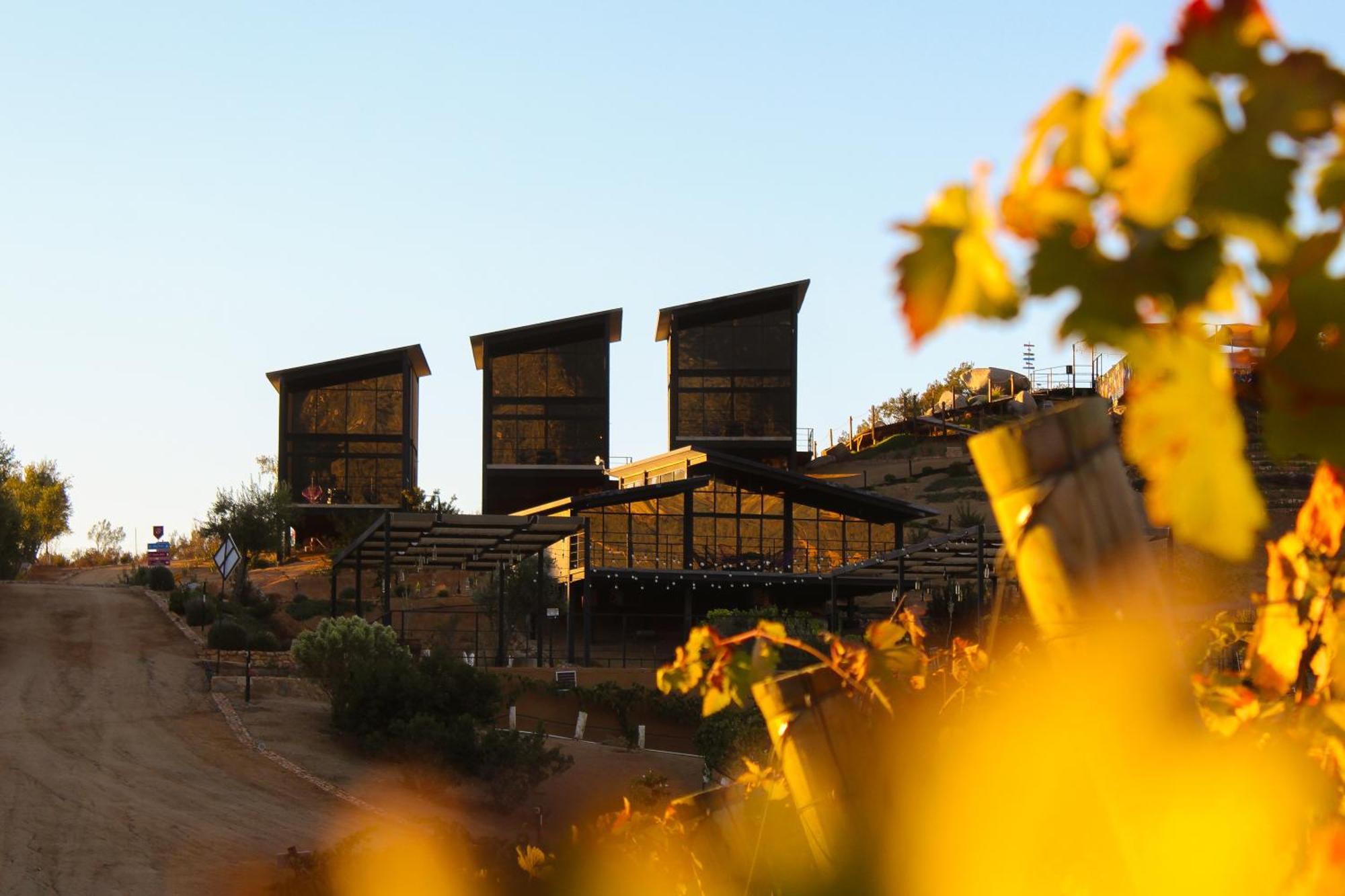 Origen75 Loft - Villas - Skypool - Vinedo, Valle De Guadalupe Extérieur photo